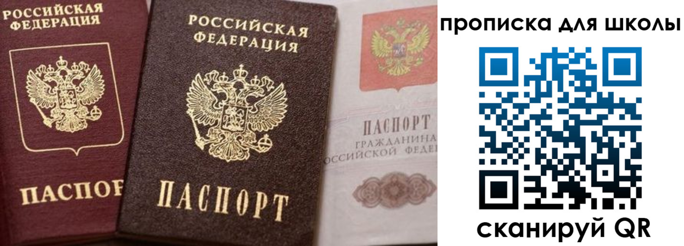 прописка законно в Могочи